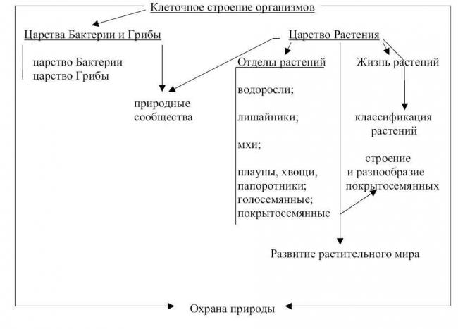 Свойства и особенности патогенных микроорганизмов, их влияние на человека