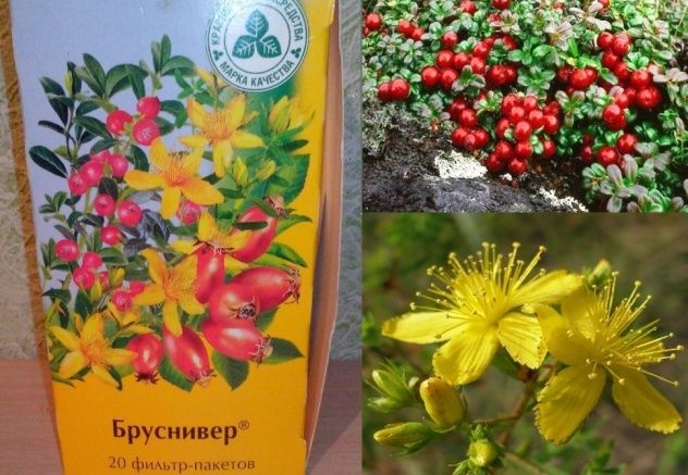 "бруснивер": инструкция по применению, отзывы