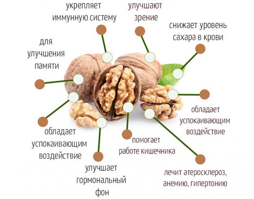 Почему орехи нужно есть каждый день: новое открытие ученых