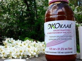 Все о детяхЭкоклав инструкция по применению для детей