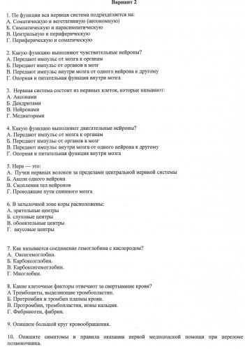 Центральная нервная система. нервная система объединяет организм человека единое целое, регулирует и координирует функции всех органов и систем