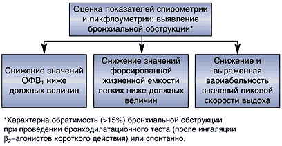 Бронхиальная астма: причины, симптомы, степени тяжести и диагностика астмы