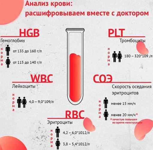 Анализ крови при туберкулезе легких: показатели, изменения, расшифровка – что покажет клинический и биохимический анализ, антитела