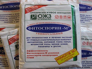 Когда обрабатывать растения фитоспорином — инструкция по применению и отзывы