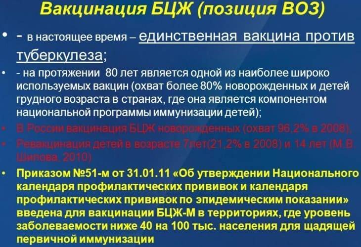 Организация деятельности