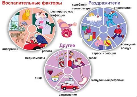 Профилактика развития бронхиальной астмы и ее осложнений у детей и взрослых