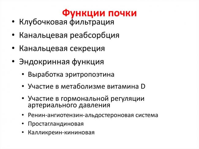 Общий белок в крови при гипертонии