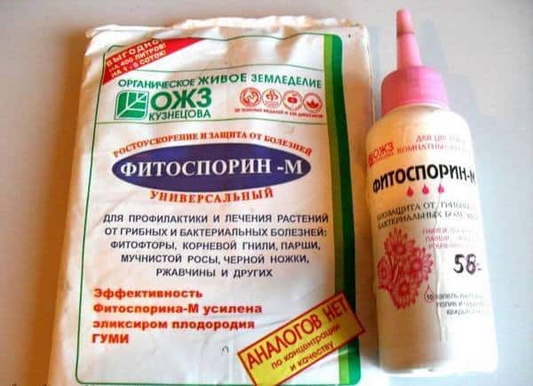 "фитоспорин-м": инструкция по применению, дозировка, отзывы