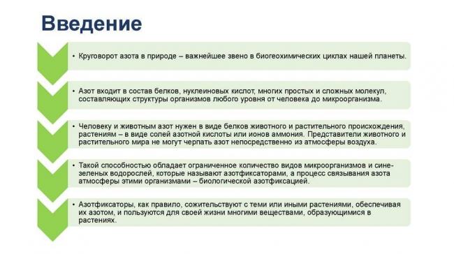 Бактерии и их роль в природе и круговороте веществ