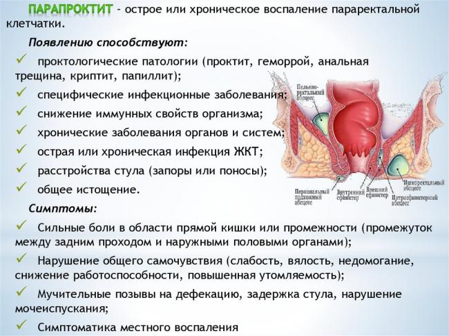 Диета при проктите: особенности питания и примерное меню для пациентов с воспалением прямой кишки