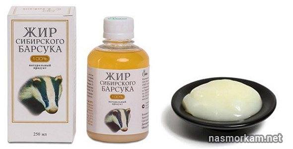 Применение меда при лечении бронхита у взрослых и детей: способы и рецепты