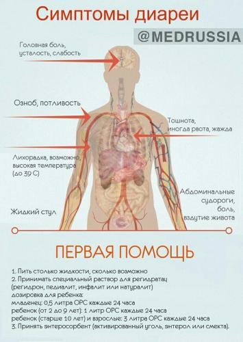 Диета при диарее: что можно есть при поносе?