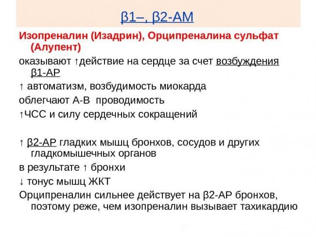 Синусовая брадикардия у детей