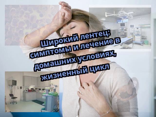 Лечение энтеробиоза (остриц) у взрослых и детей. препараты. профилактика. фото. видео