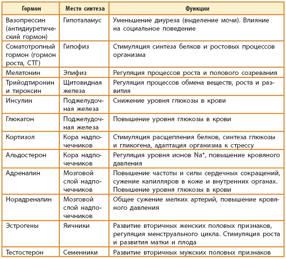 Как контролировать 4 основных гормона, которые влияют на вес