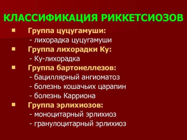 Осповидный риккетсиоз у детей - симптомы болезни, профилактика и лечение осповидного риккетсиоза у детей, причины заболевания и его диагностика на eurolab