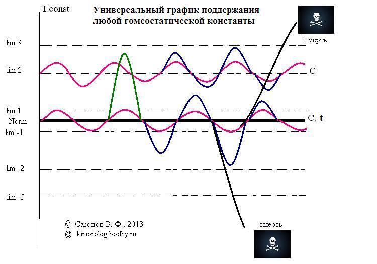 Гомеостаз — большая медицинская энциклопедия