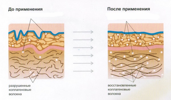 Коллаген: инструкция по применению препарата для суставов