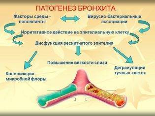Флуифорт отзывы