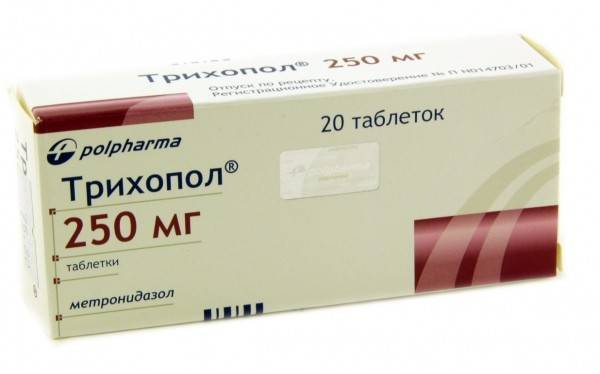 Чем отличаются бактерии от амёбы?