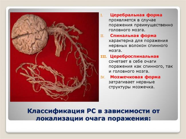 Голова: адиадохокинез