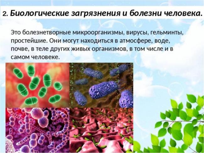Так ли полезен бег на самом деле