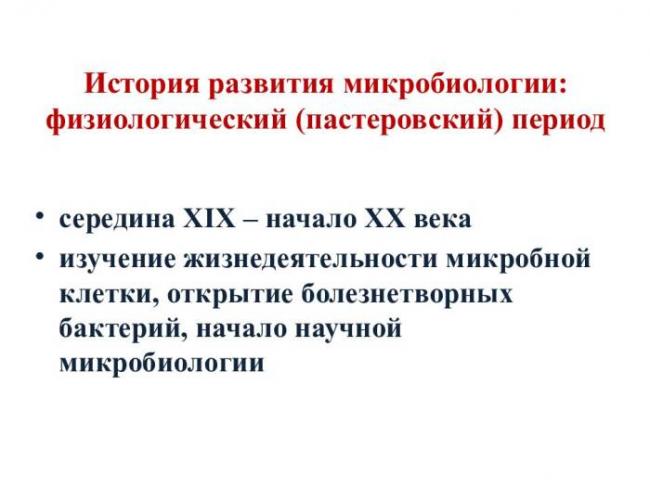 Царство бактерии общая характеристика, кто открыл бактерии, названия и примеры бактерий, чем питаются, как размножаются, запасное вещество бактерий, признаки симбиотических бактерий