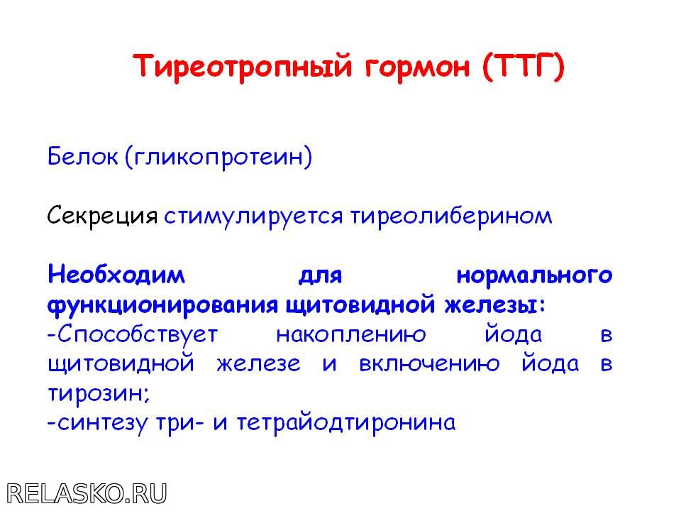 Питание при лейкозе как элемент комплексного лечебного подхода