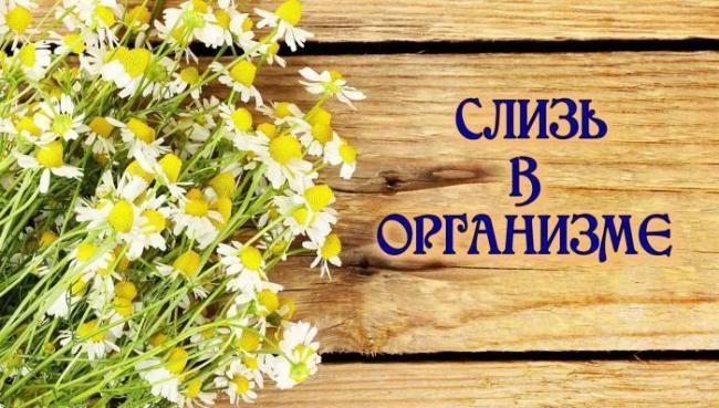 Бактерии в моче при беременности: симптомы, лечение, профилактика / mama66.ru