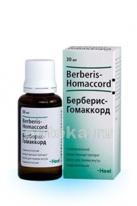 Берберис-гомаккорд
