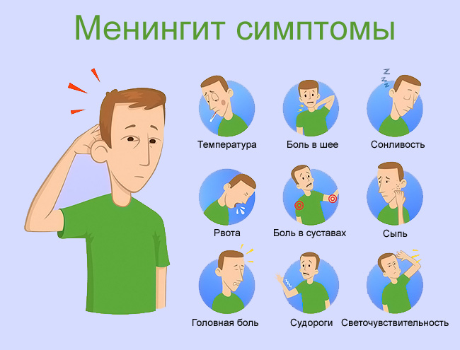 Менингококковая инфекция, менингококк: возбудитель и патогенность, симптомы и лечение