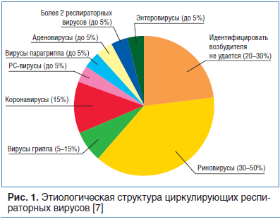 Почему инфекция поражает. разновидности, механизм воздействия и принципы лечения вирусных инфекций. борьба с вирусными заболеваниями