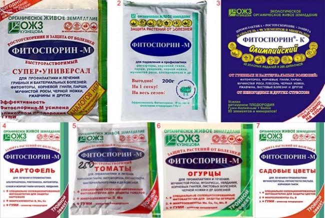 Фитоспорин: как применять и для чего