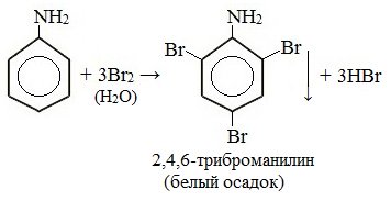 Бензол и его гомологи