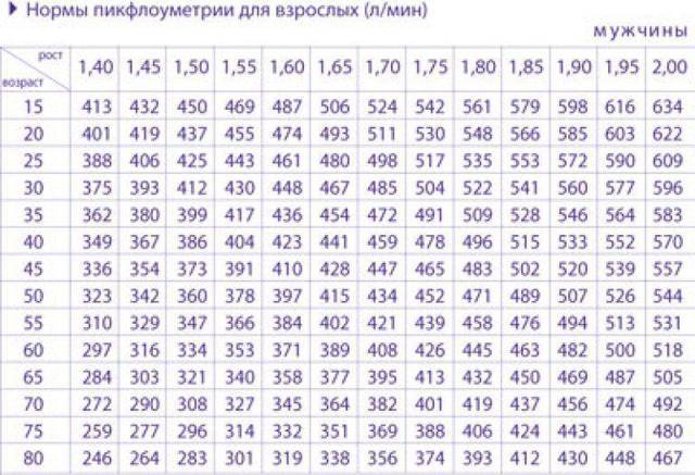 Пикфлоуметрия: показатели нормы у детей и взрослых, правила, цели и алгоритм проведения