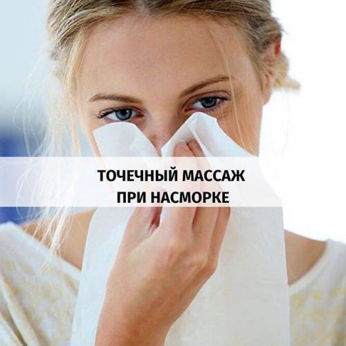 Сок каланхоэ от насморка: инструкция. капли, настойка