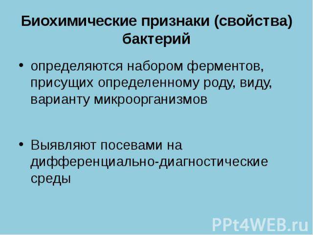 Тинкториальные свойства бактерий и их использование при микроскопировании