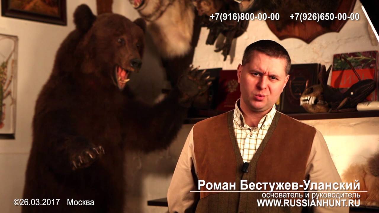 Как правильно лечиться медвежьим жиром от кашля