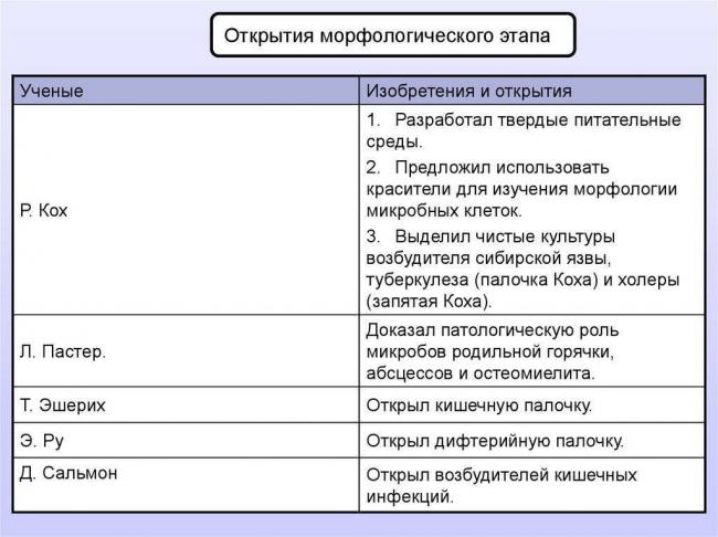След первой бактерии