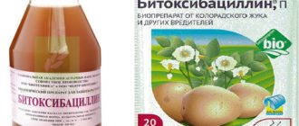 Битоксибациллин