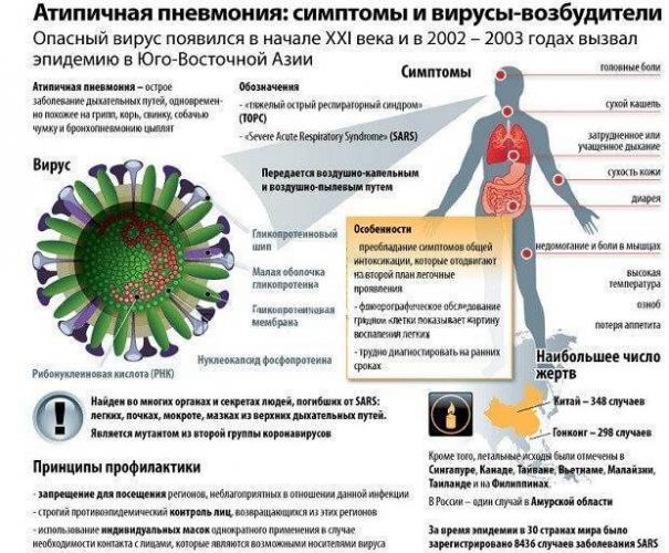 Хламидийная пневмония – симптомы и лечение chlamydia pneumoniae