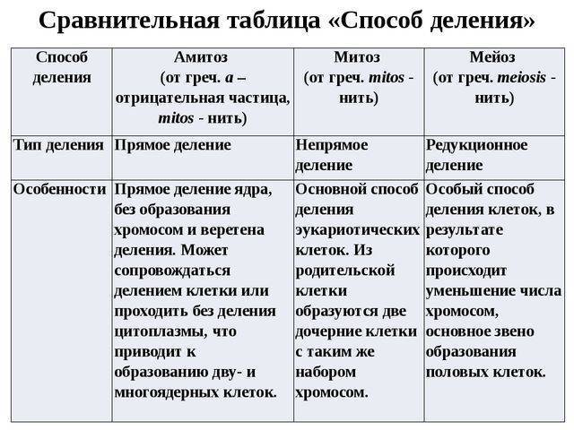 Какими способами могут размножаться бактерии и грибы