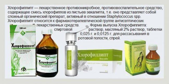 Хлорофиллипт показания, инструкция по применению для полоскания горла