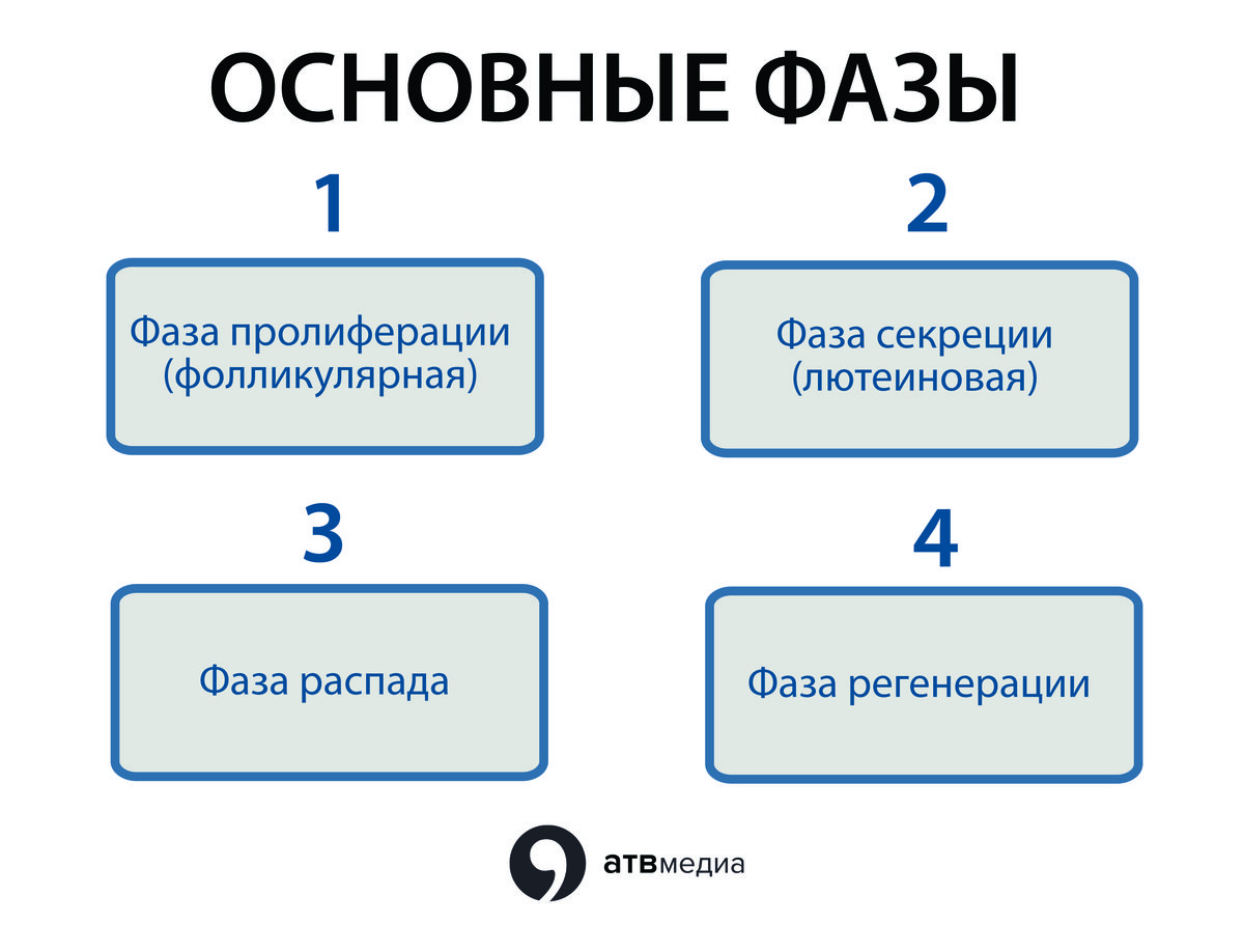 Что значит эндометрий секретного типа?