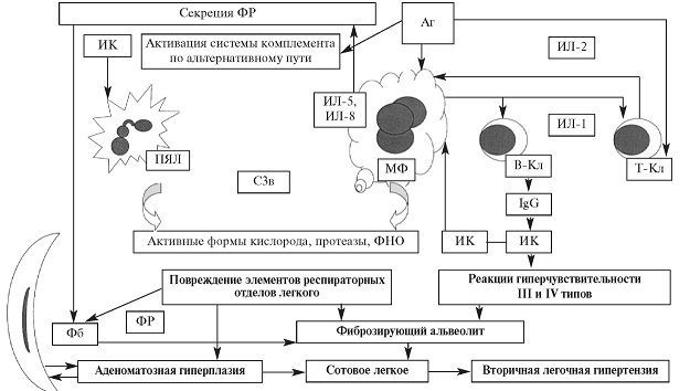 Альвеолит