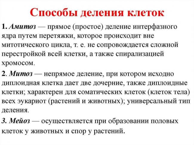 В чем заключается особенность роста и размножения бактериальных клеток