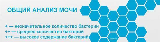 Бактериологический анализ мочи – что это за анализ, расшифровка