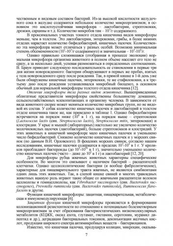 Значение бактерий в кишечнике человека