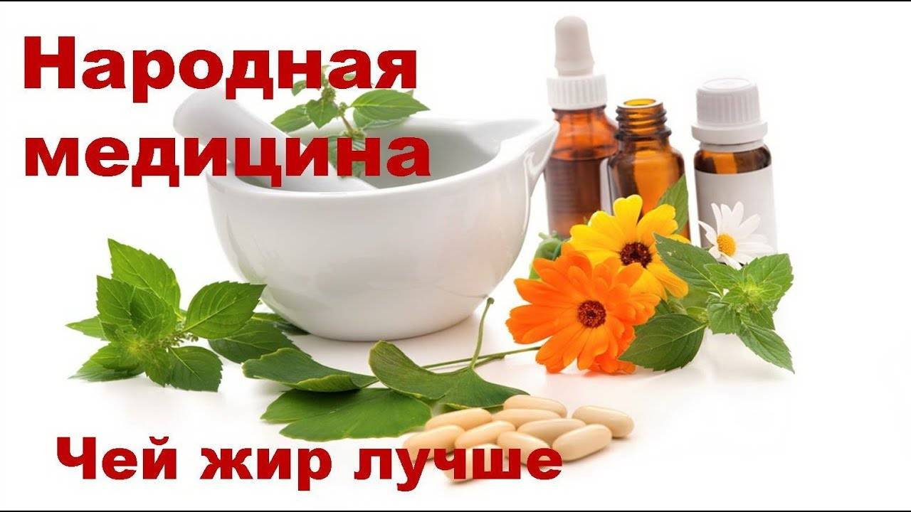 Медвежий жир при кашле: как принимать, чтобы не навредить