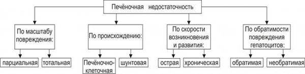 Эссенциале Н , Раствор для внутривенного введения